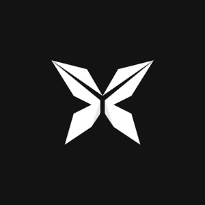 ViitorX avatar